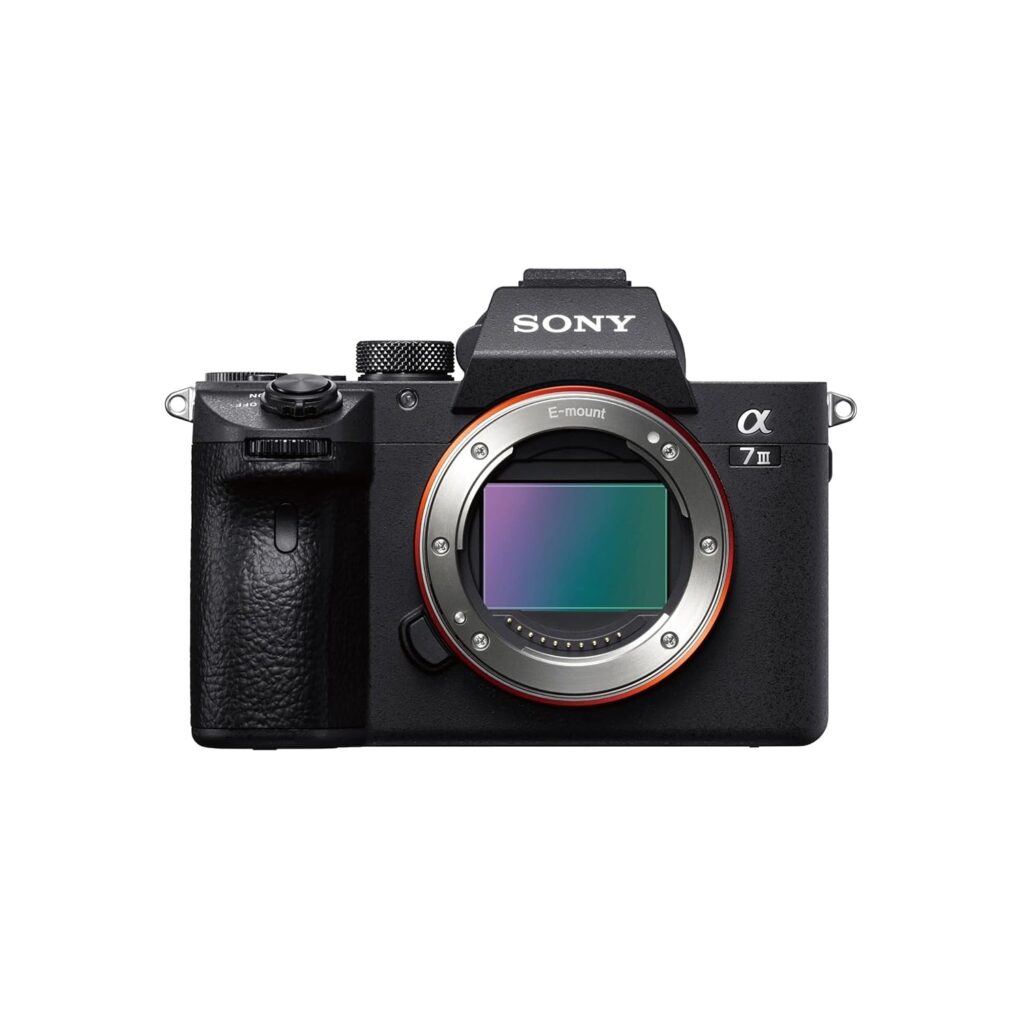 Mirrorless camera